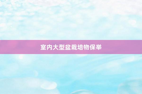 室内大型盆栽培物保举