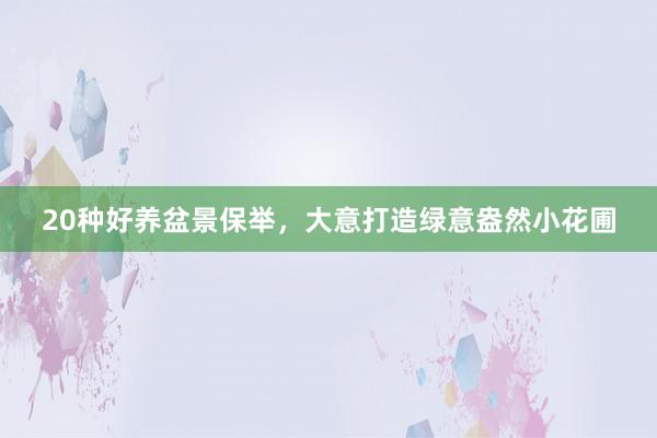 20种好养盆景保举，大意打造绿意盎然小花圃