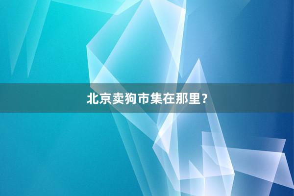 北京卖狗市集在那里？